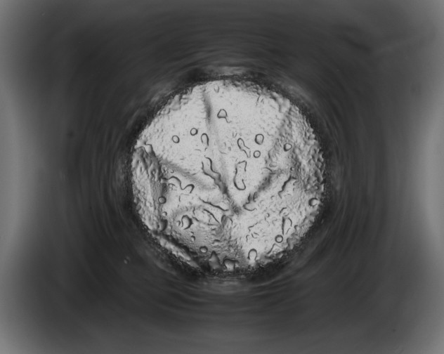 X0000082970373200703020239