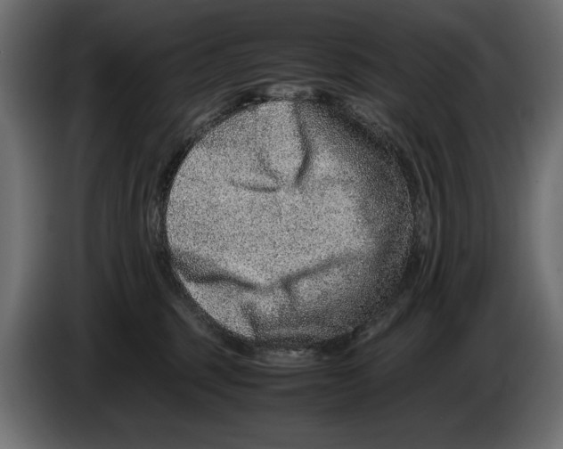 X0000082970375200703020239
