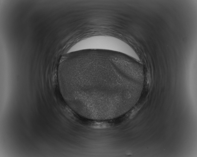 X0000082970376200703020239