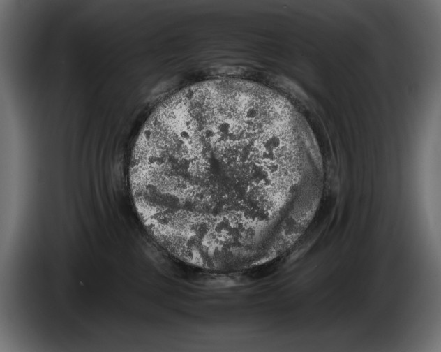 X0000082970377200703020240