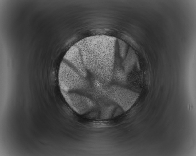 X0000082970378200703020240