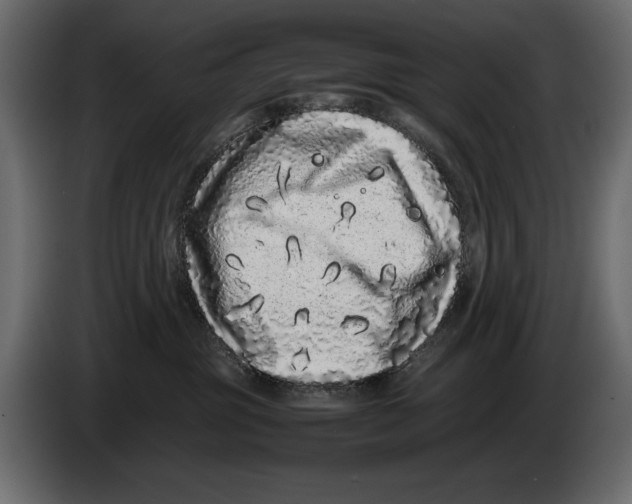 X0000082970381200703020240