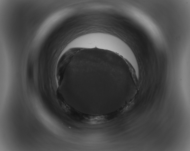 X0000082970382200703020240