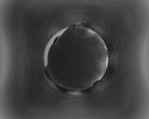 X0000082970383200703020240