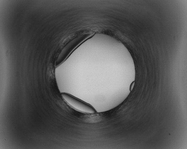 X0000082970384200703020240