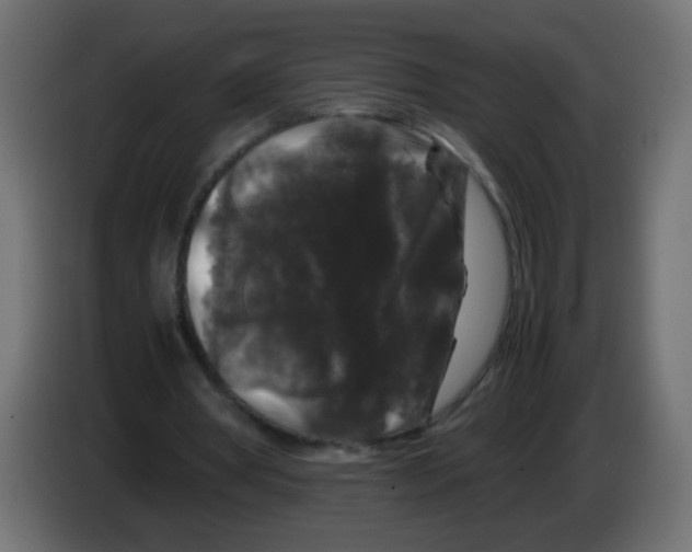 X0000082970386200703020239