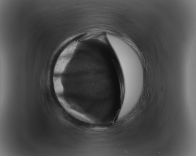 X0000082970387200703020239