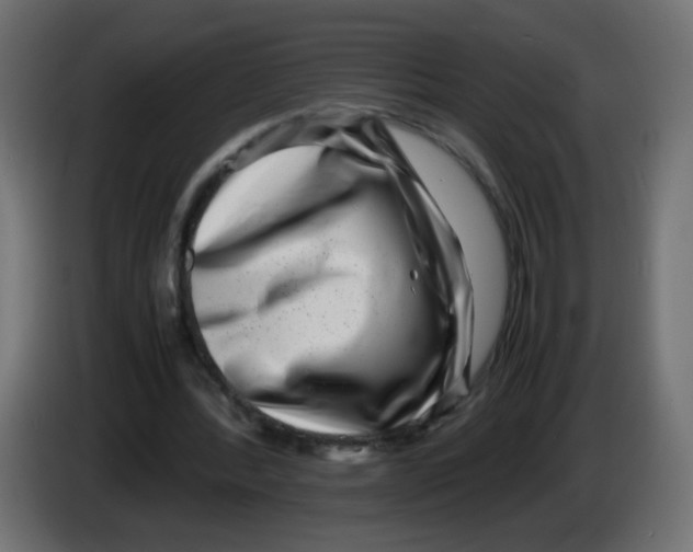 X0000082970388200703020239