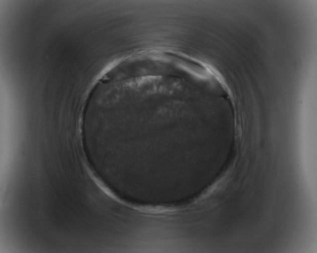X0000082970389200703020239