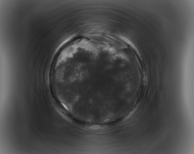 X0000082970390200703020239