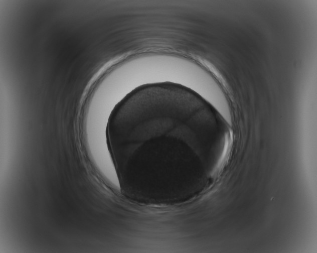 X0000082970391200703020239