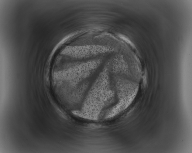 X0000082970392200703020239