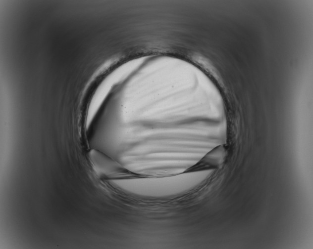 X0000082970395200703020239