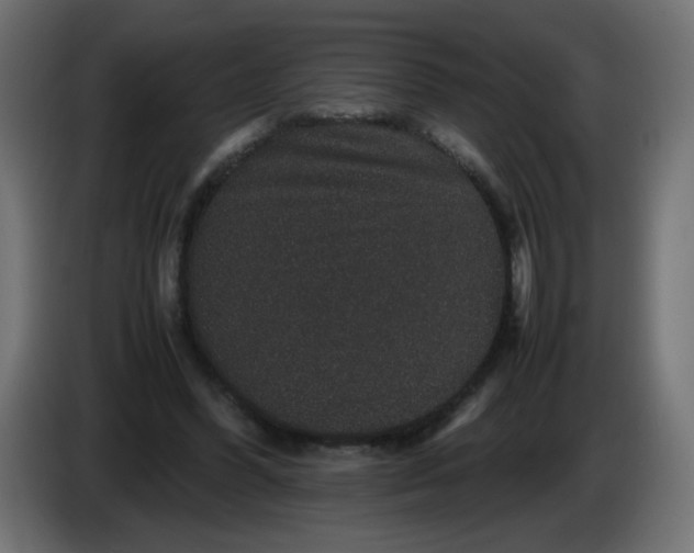 X0000082970396200703020239