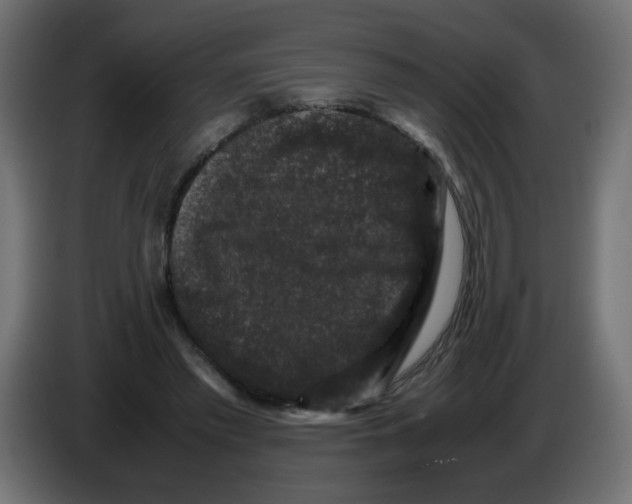 X0000082970397200703020239