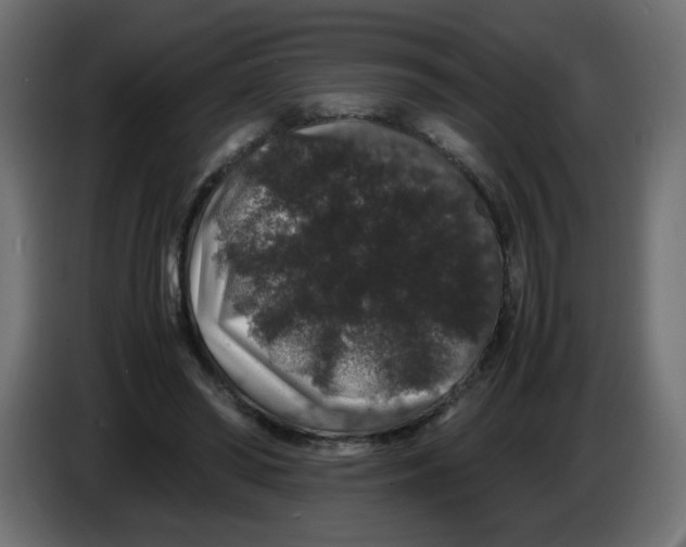 X0000082970398200703020239