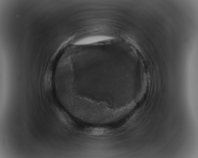 X0000082970400200703020239