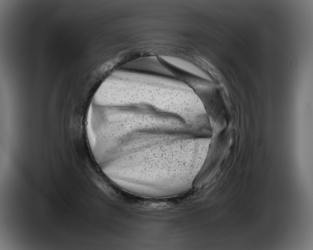 X0000082970401200703020239