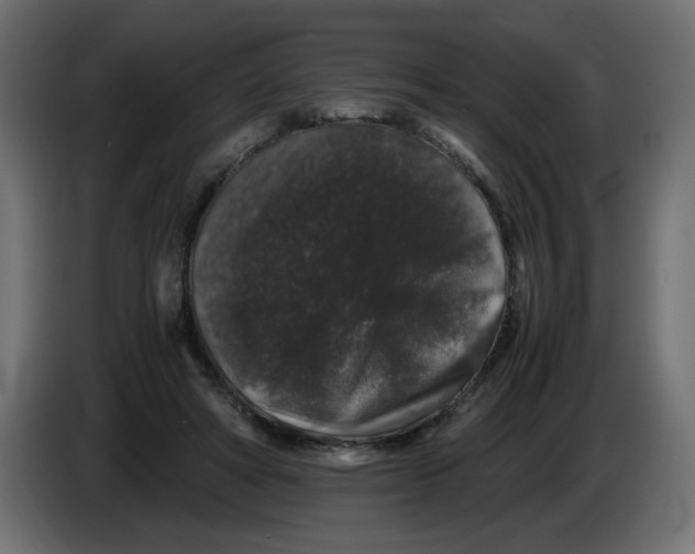 X0000082970402200703020239