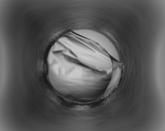 X0000082970403200703020239