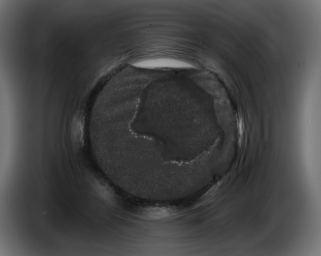X0000082970404200703020239