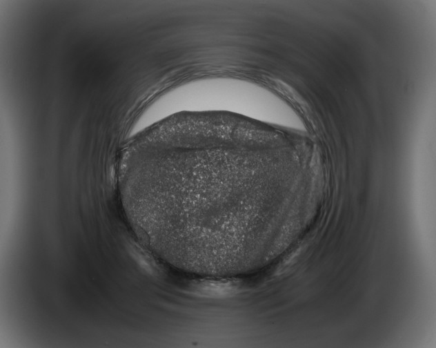 X0000082970405200703020239