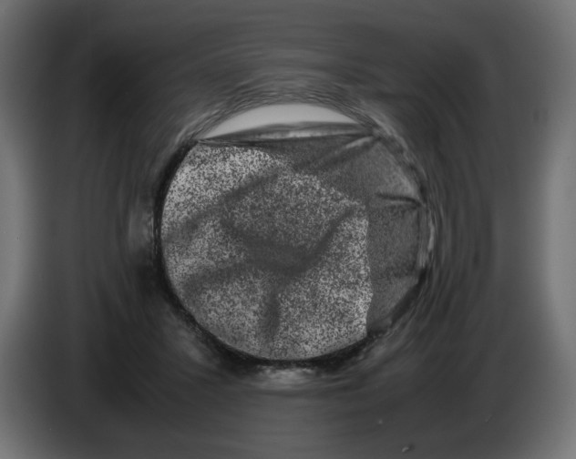 X0000082970407200703020239