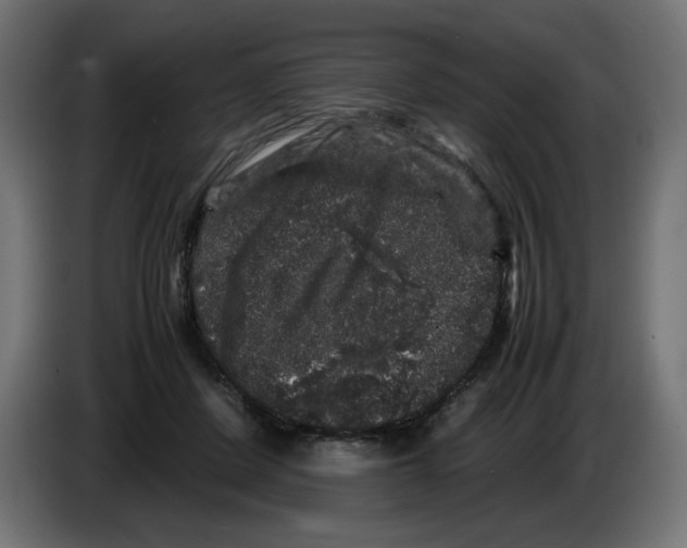 X0000082970408200703020239