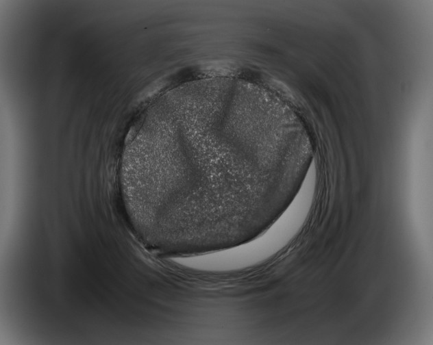 X0000082970409200703020239