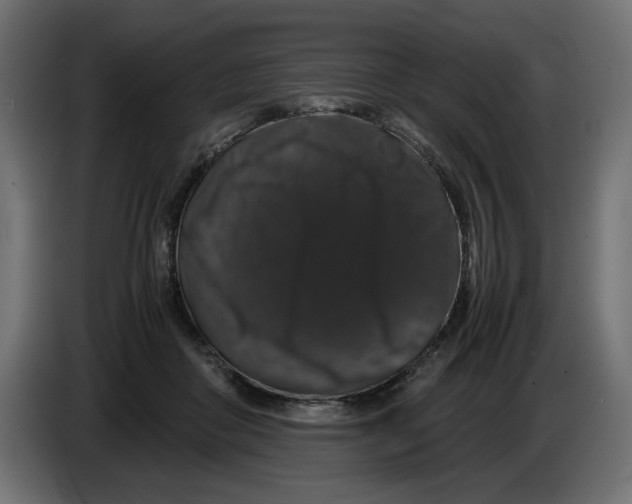 X0000082970410200703020239