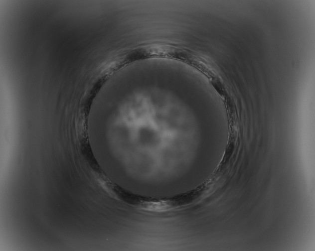 X0000082970411200703020239