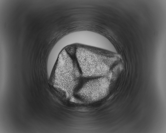X0000082970412200703020239
