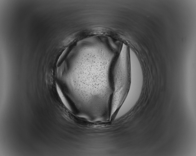 X0000082970413200703020239