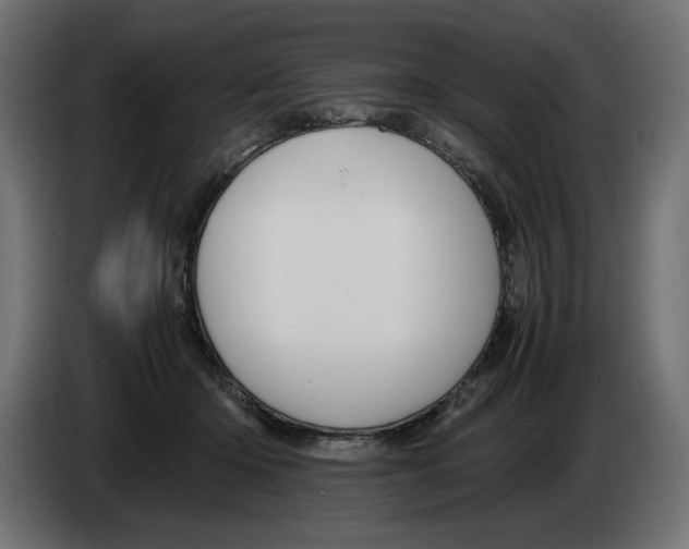 X0000082970414200703020239