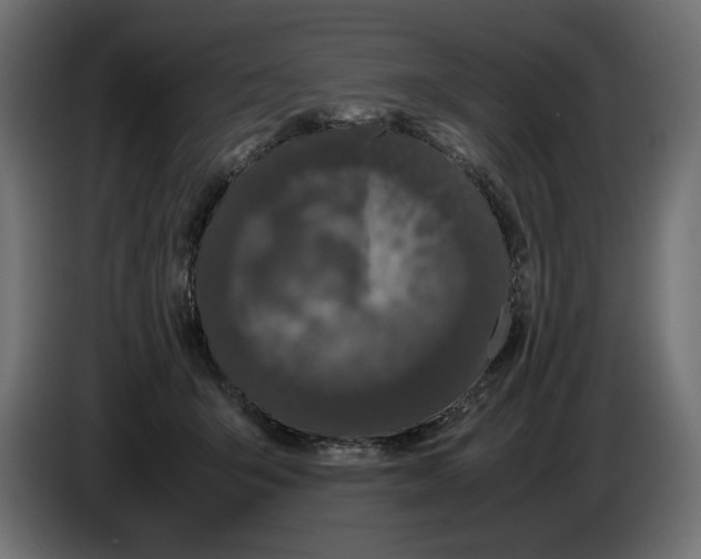 X0000082970415200703020239