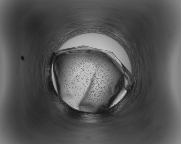 X0000082970417200703020238