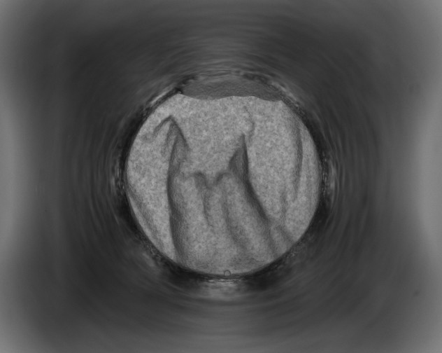 X0000082970418200703020238