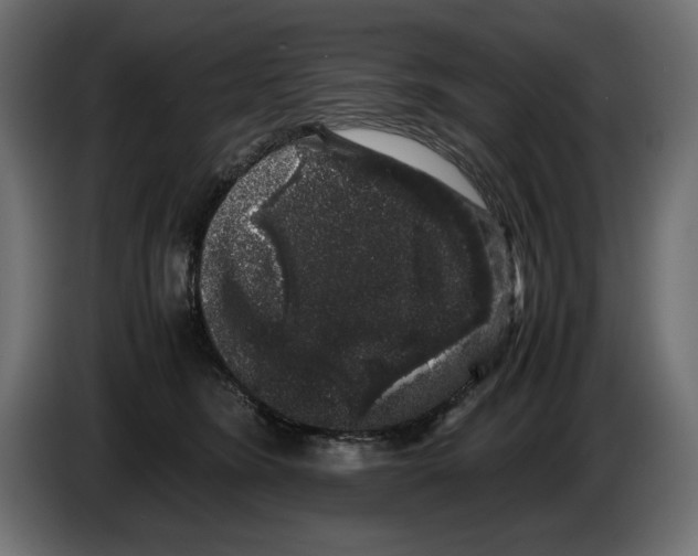 X0000082970420200703020238