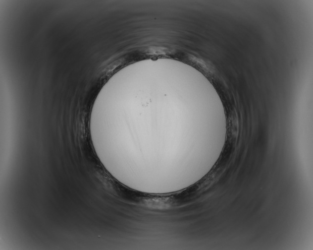 X0000082970422200703020238