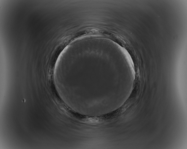 X0000082970423200703020238