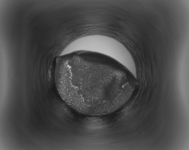 X0000082970424200703020238