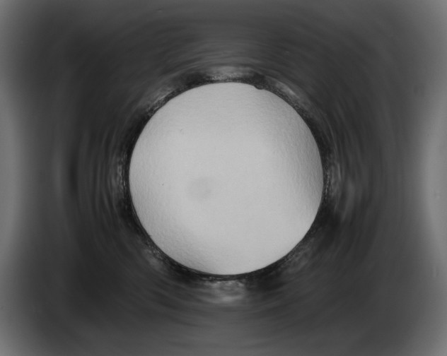 X0000082970426200703020238