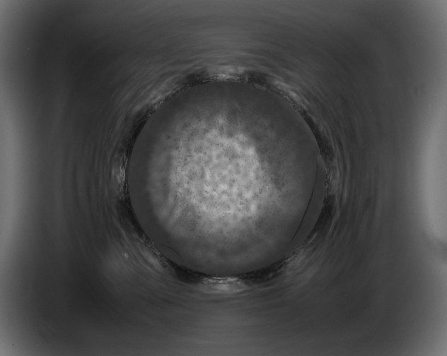 X0000082970427200703020238