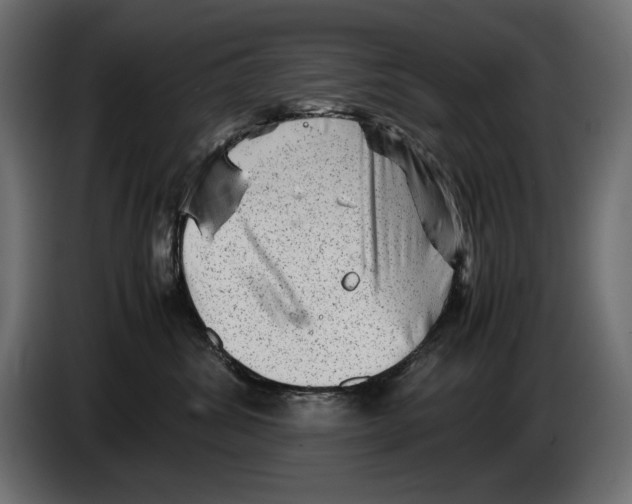 X0000082970428200703020238