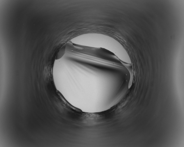 X0000082970429200703020238
