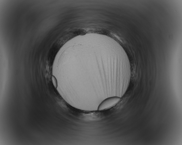 X0000082970430200703020238