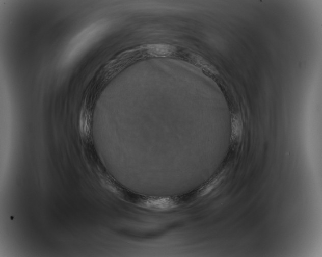 X0000082970431200703020238