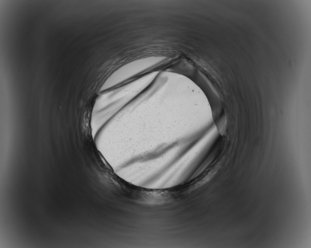 X0000082970432200703020238