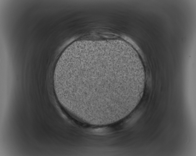 X0000082970433200703020238