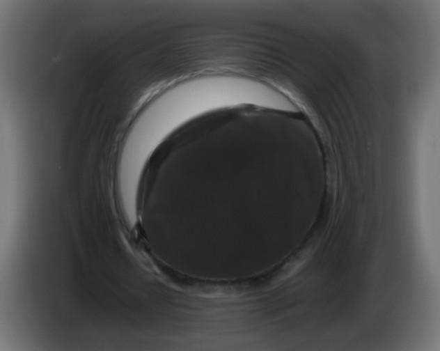 X0000082970434200703020238